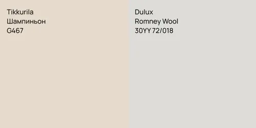 G467 Шампиньон vs 30YY 72/018 Romney Wool