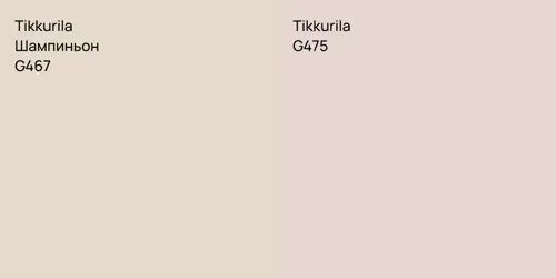G467 Шампиньон vs G475 null