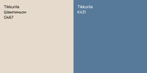 G467 Шампиньон vs K431 null