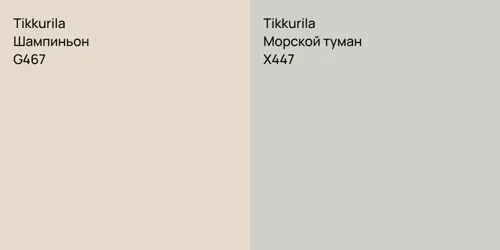 G467 Шампиньон vs X447 Морской туман
