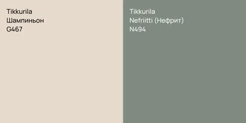 G467 Шампиньон vs N494 Nefriitti (Нефрит)