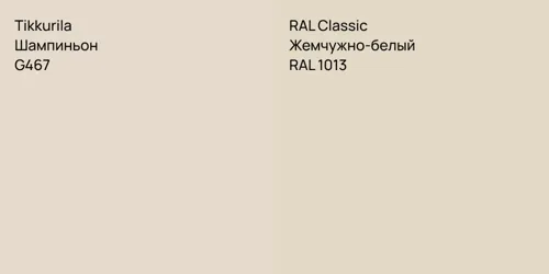 G467 Шампиньон vs RAL 1013 Жемчужно-белый