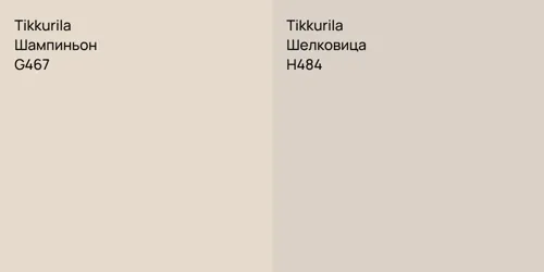 G467 Шампиньон vs H484 Шелковица