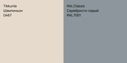 G467 Шампиньон vs RAL 7001 Серебристо-серый