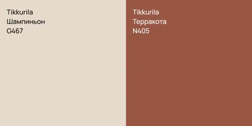 G467 Шампиньон vs N405 Терракота