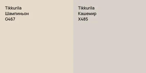 G467 Шампиньон vs X485 Кашемир