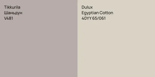 V481 Шаньдун vs 40YY 65/061 Egyptian Cotton