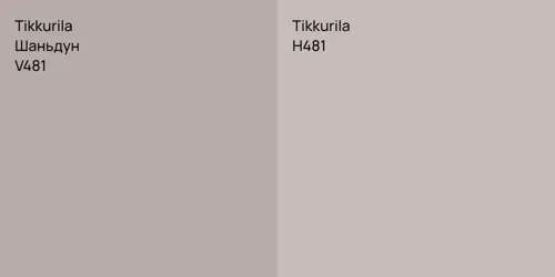 V481 Шаньдун vs H481 