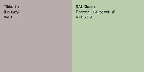 V481 Шаньдун vs RAL 6019 Пастельный зеленый