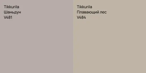V481 Шаньдун vs V484 Плавающий лес