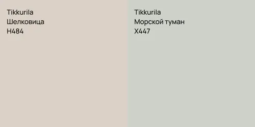 H484 Шелковица vs X447 Морской туман