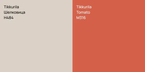 H484 Шелковица vs M316 Tomato