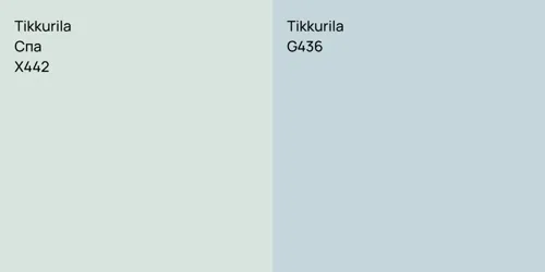 X442 Спа vs G436 null