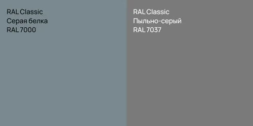 RAL 7000 Серая белка vs RAL 7037 Пыльно-серый