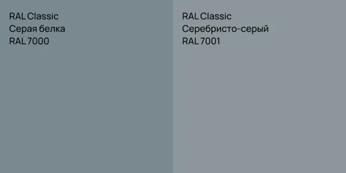 RAL 7000 Серая белка vs RAL 7001 Серебристо-серый