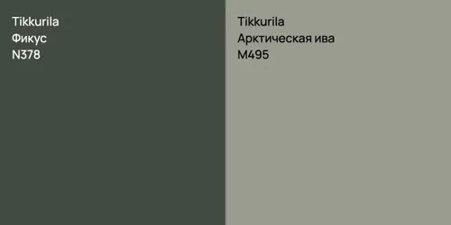 N378 Фикус vs M495 Арктическая ива