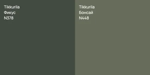N378 Фикус vs N448 Бонсай