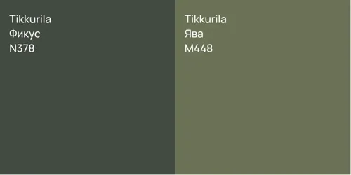 N378 Фикус vs M448 Ява