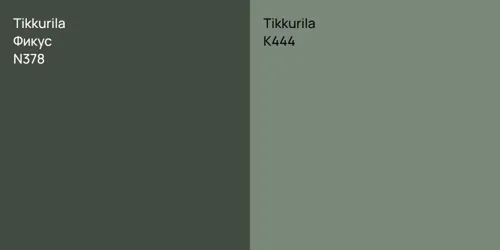 N378 Фикус vs K444 