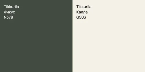 N378 Фикус vs G503 Калла