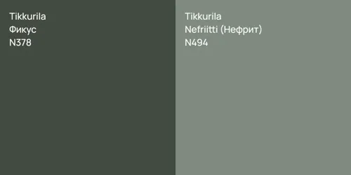 N378 Фикус vs N494 Nefriitti (Нефрит)