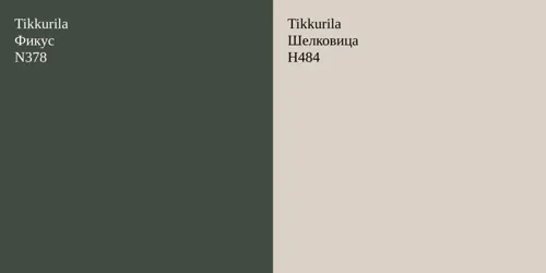 N378 Фикус vs H484 Шелковица