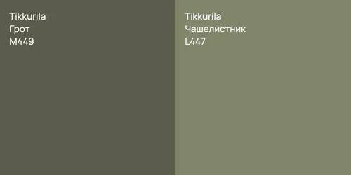 M449 Грот vs L447 Чашелистник