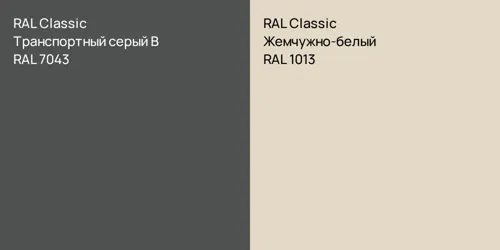 RAL 7043 Транспортный серый B vs RAL 1013 Жемчужно-белый