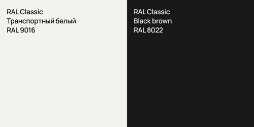 RAL 9016 Транспортный белый vs RAL 8022 Black brown