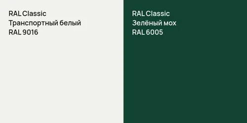 RAL 9016 Транспортный белый vs RAL 6005 Зелёный мох