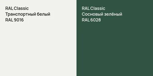 RAL 9016 Транспортный белый vs RAL 6028 Сосновый зелёный