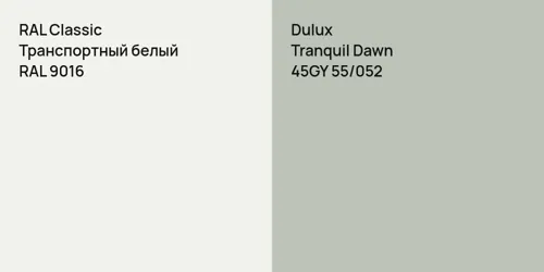 RAL 9016 Транспортный белый vs 45GY 55/052 Tranquil Dawn