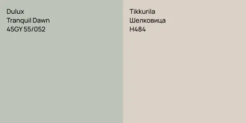 45GY 55/052 Tranquil Dawn vs H484 Шелковица