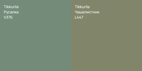 V376 Русалка vs L447 Чашелистник