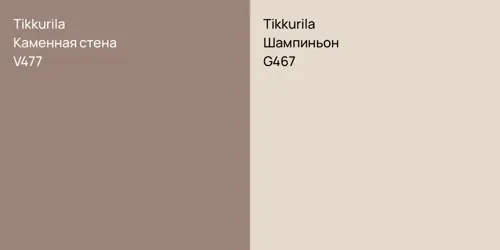 V477 Каменная стена vs G467 Шампиньон