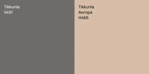 V497 vs H466 Ангора