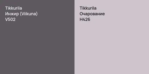 V502 Инжир (Viikuna) vs H426 Очарование