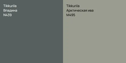 N439 Впадина vs M495 Арктическая ива