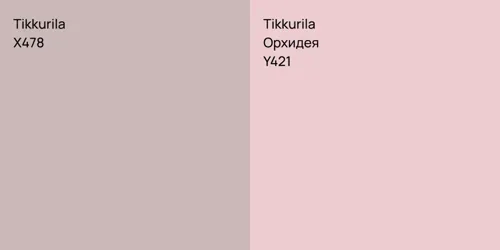 X478 vs Y421 Орхидея