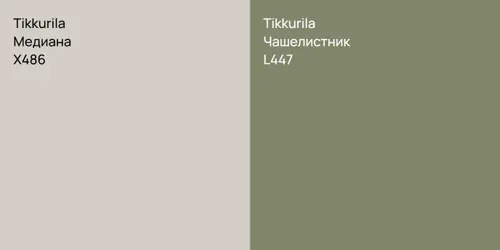X486 Медиана vs L447 Чашелистник