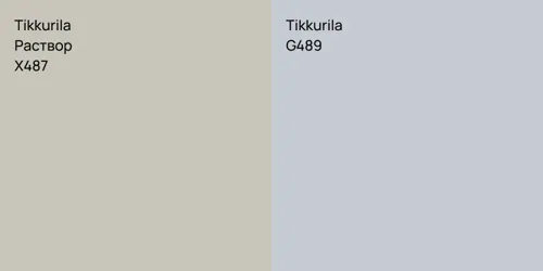 X487 Раствор vs G489 