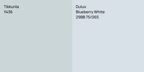 Y436  vs 29BB 75/065 Blueberry White
