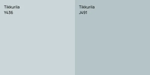 Y436  vs J491 
