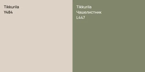 Y484  vs L447 Чашелистник