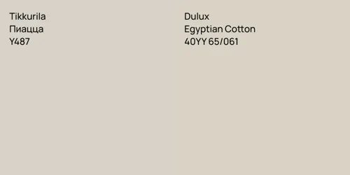 Y487 Пиацца vs 40YY 65/061 Egyptian Cotton