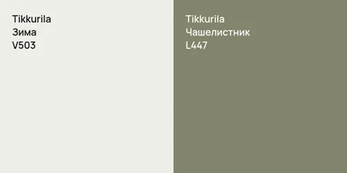 V503 Зима vs L447 Чашелистник