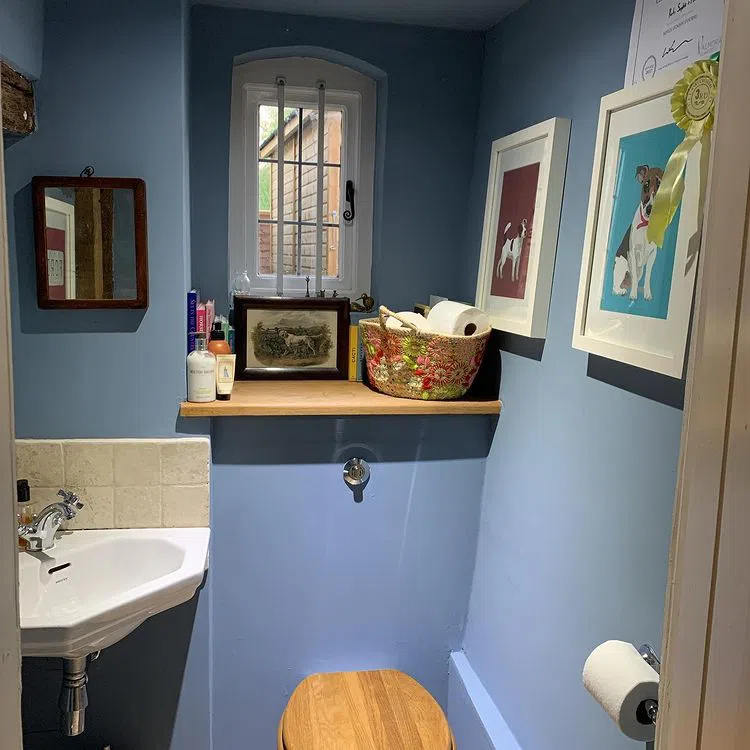 Туалет с синими стенами Little Greene Grey Stone