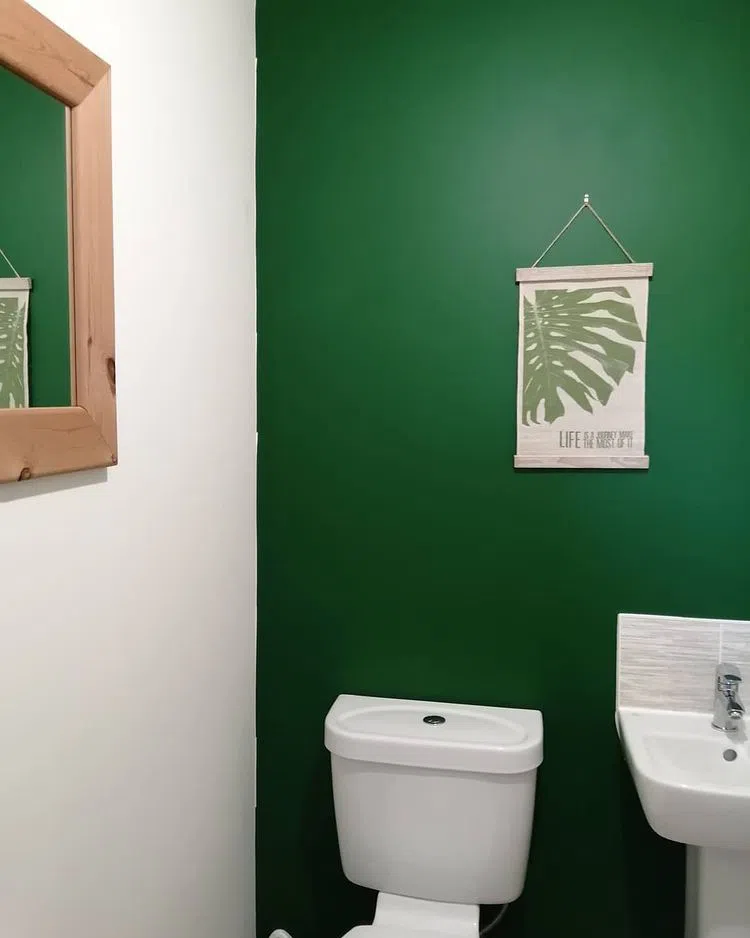 Акцентная зеленая стена в туалете Dulux Woodland Fern 1