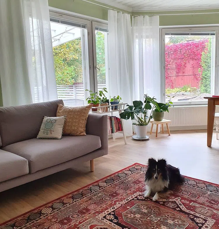 Интерьер гостиной с большими окнами и краской V386 Tikkurila