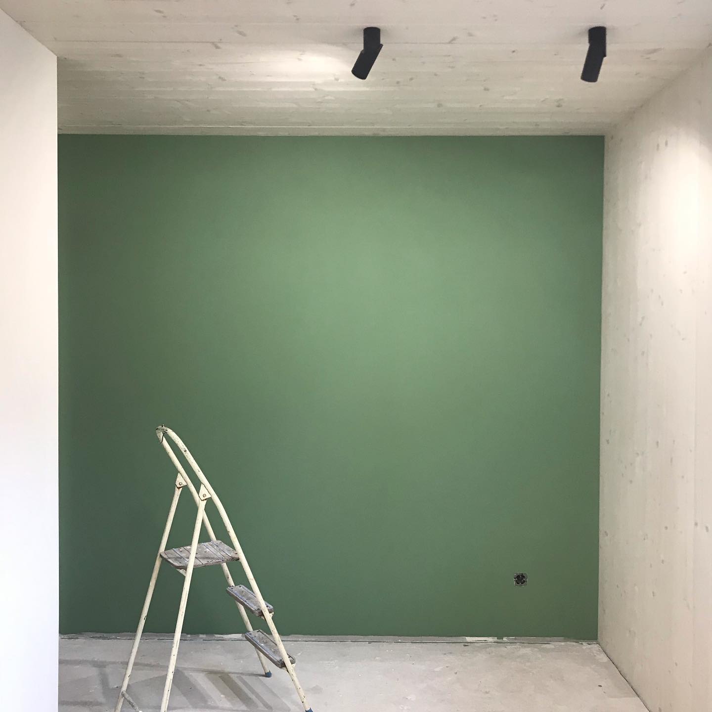 Акцентная зеленая стена RAL 6021 Pale Green